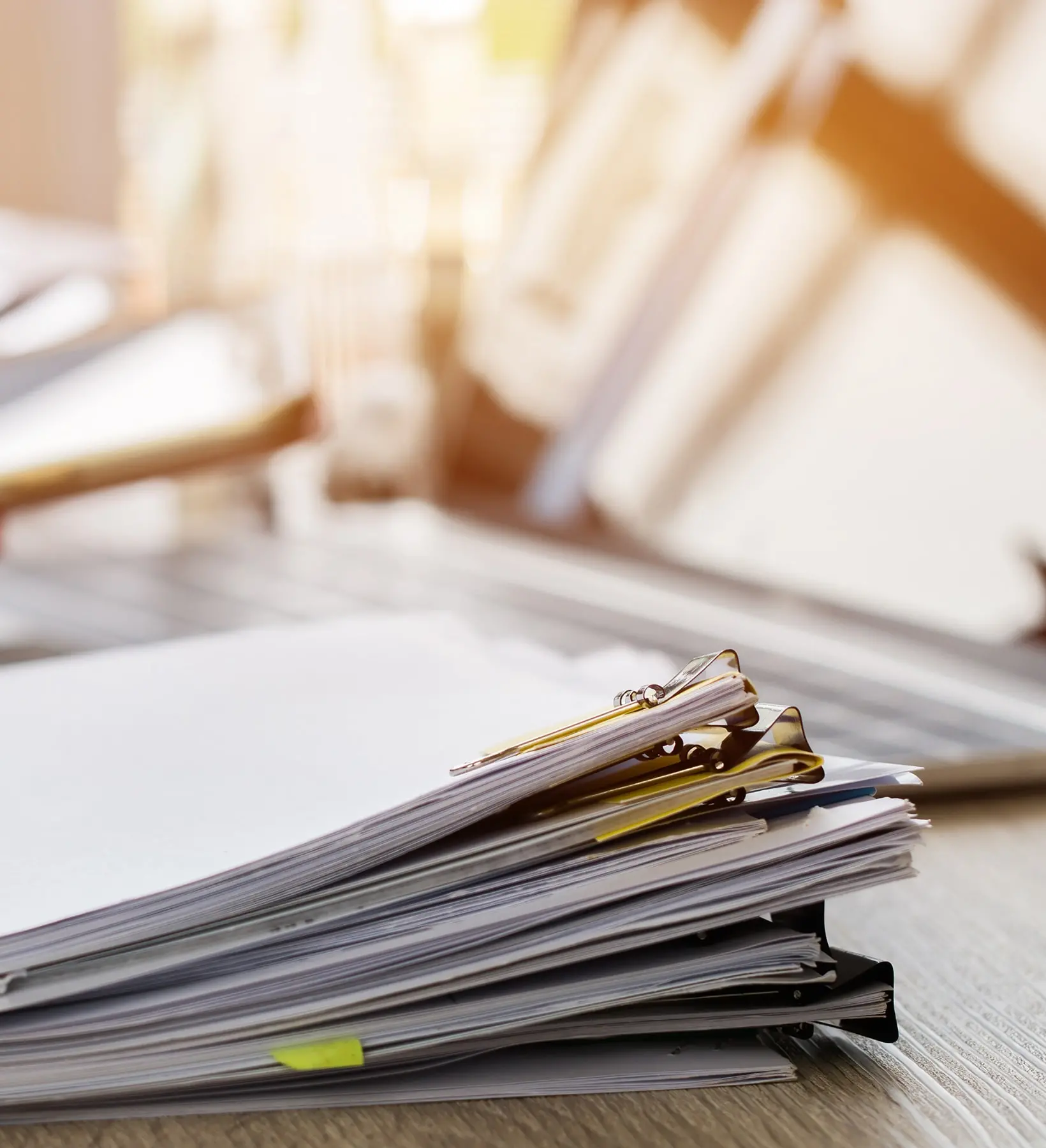 入試情報・募集要項