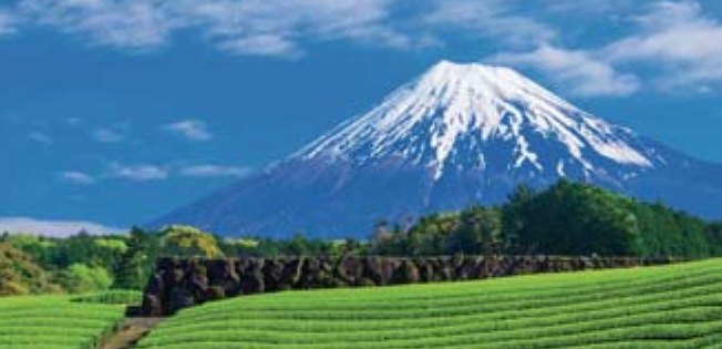 茶畑と富士山のイメージ